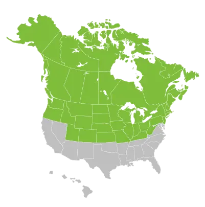 Air conditioner changes across North America